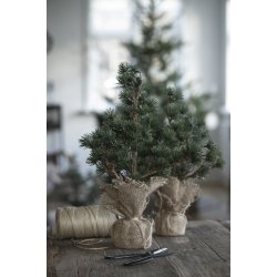 Cedertr� m/jutefod