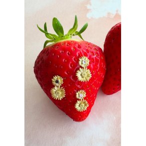 Guld flower stik m/lyserd sten